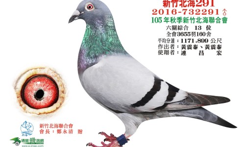 党参的功能主治和作用是什么-党参的功能与主治网-分享党参的功能主治和作用，党参的功能主治是什么呢知识库