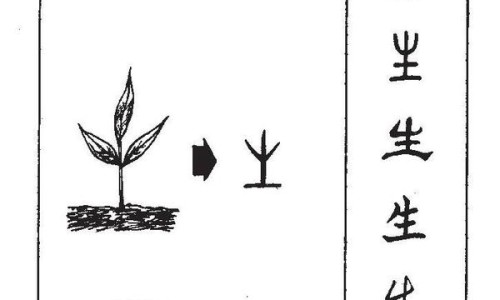 党参的功能与主治与用量-党参的功能与主治网-分享党参的功能主治和作用，党参的功能主治是什么呢知识库
